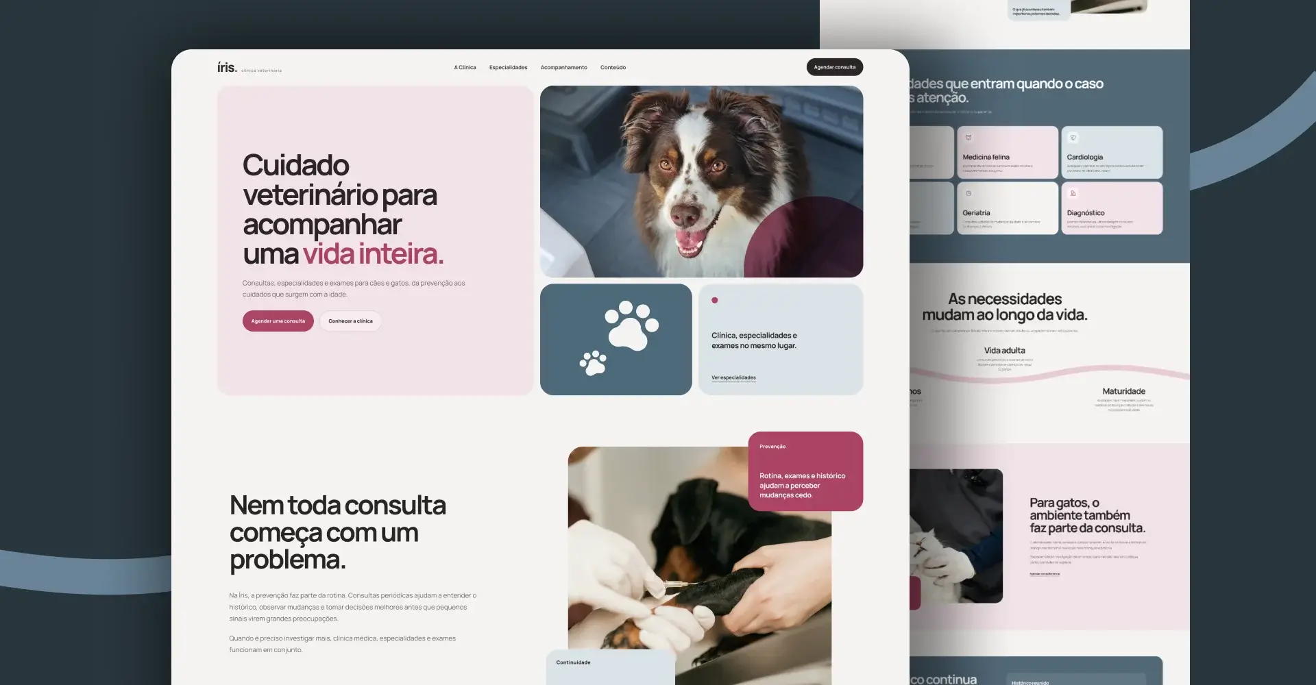 Projeto Clínica veterinária